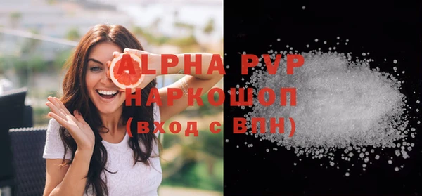 соль ск Новозыбков