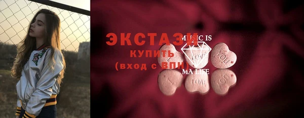 соль ск Новозыбков